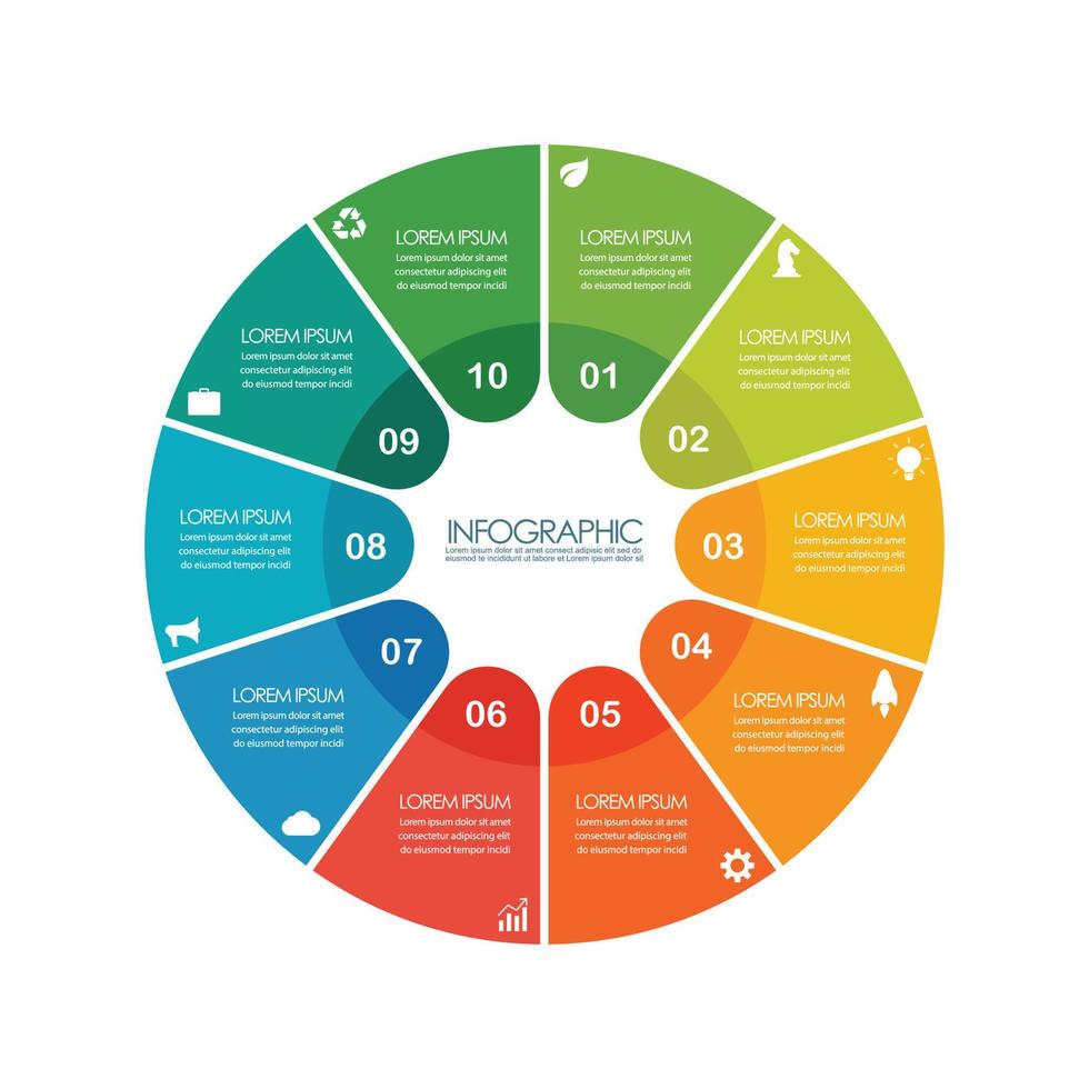 modelo de gráfico de círculo infográfico vetor