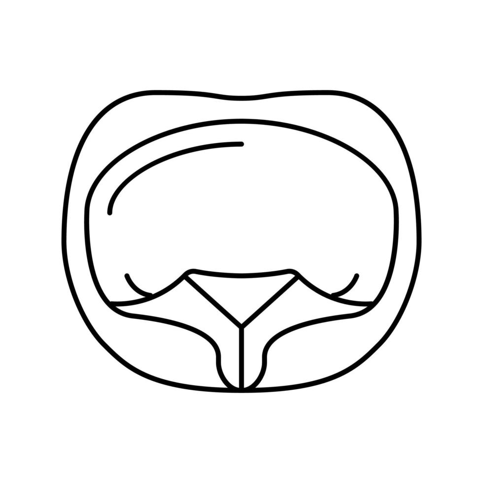 ilustração vetorial de ícone de linha de macarrão tortellini vetor