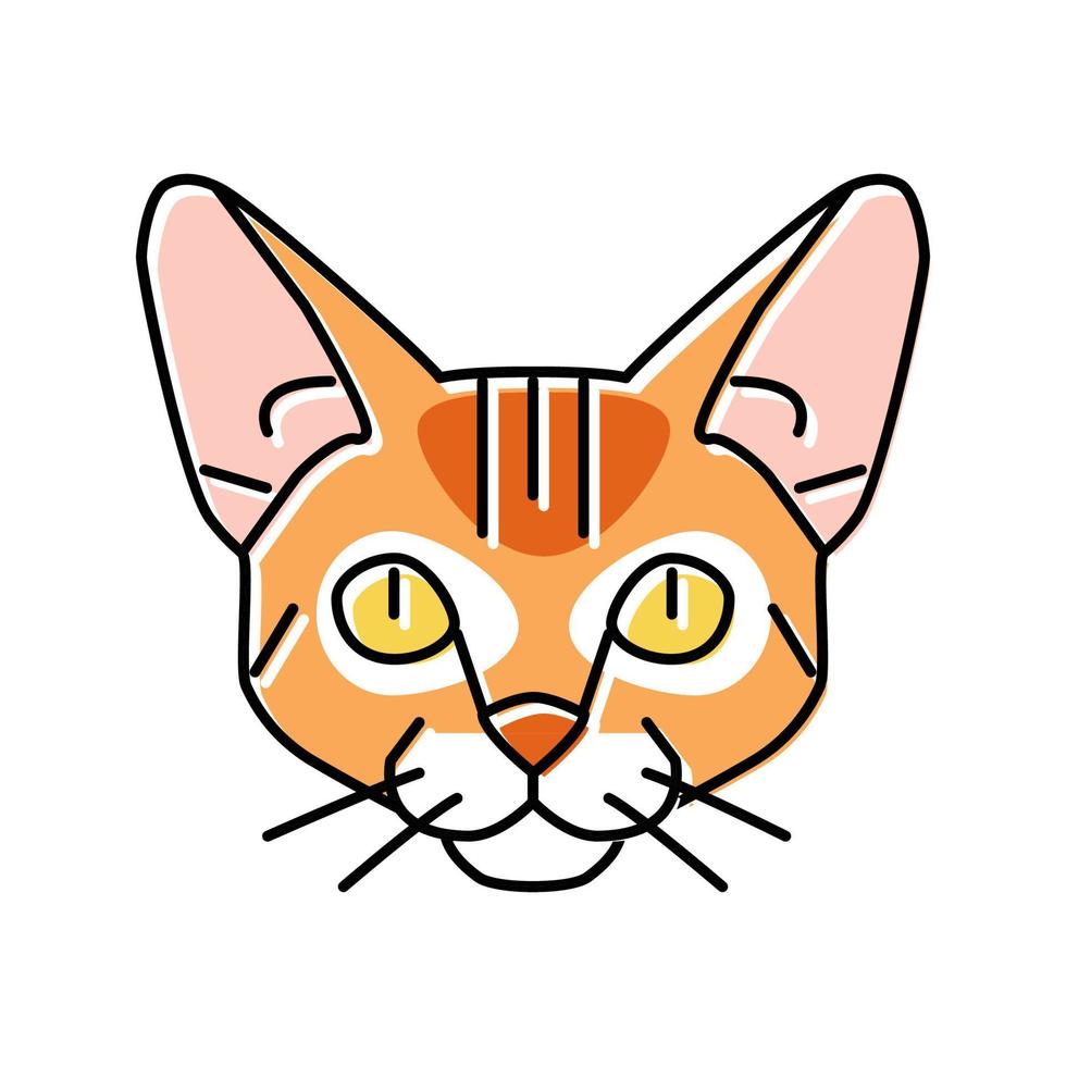 ilustração vetorial de ícone de cor de animal de estimação fofo gato abissínio vetor