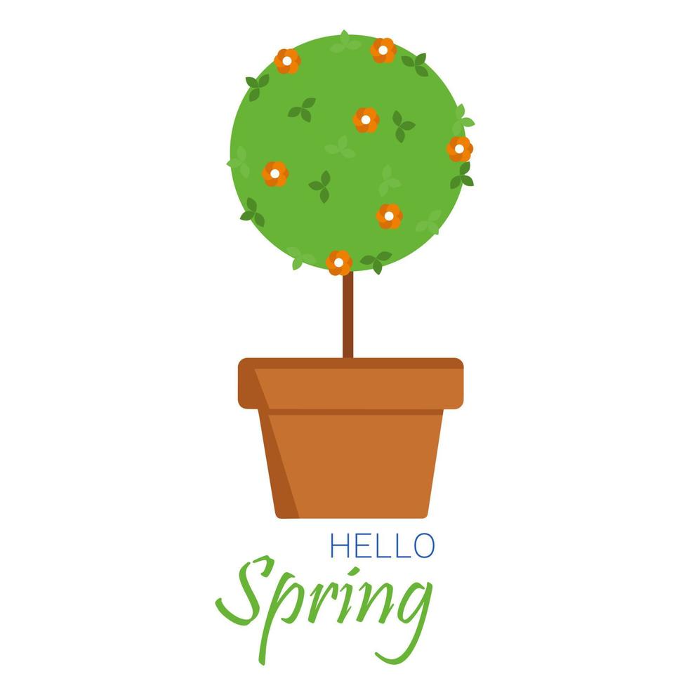 Olá Primavera. cartão quadrado ou banner com árvore no pote. ilustração vetorial. vetor