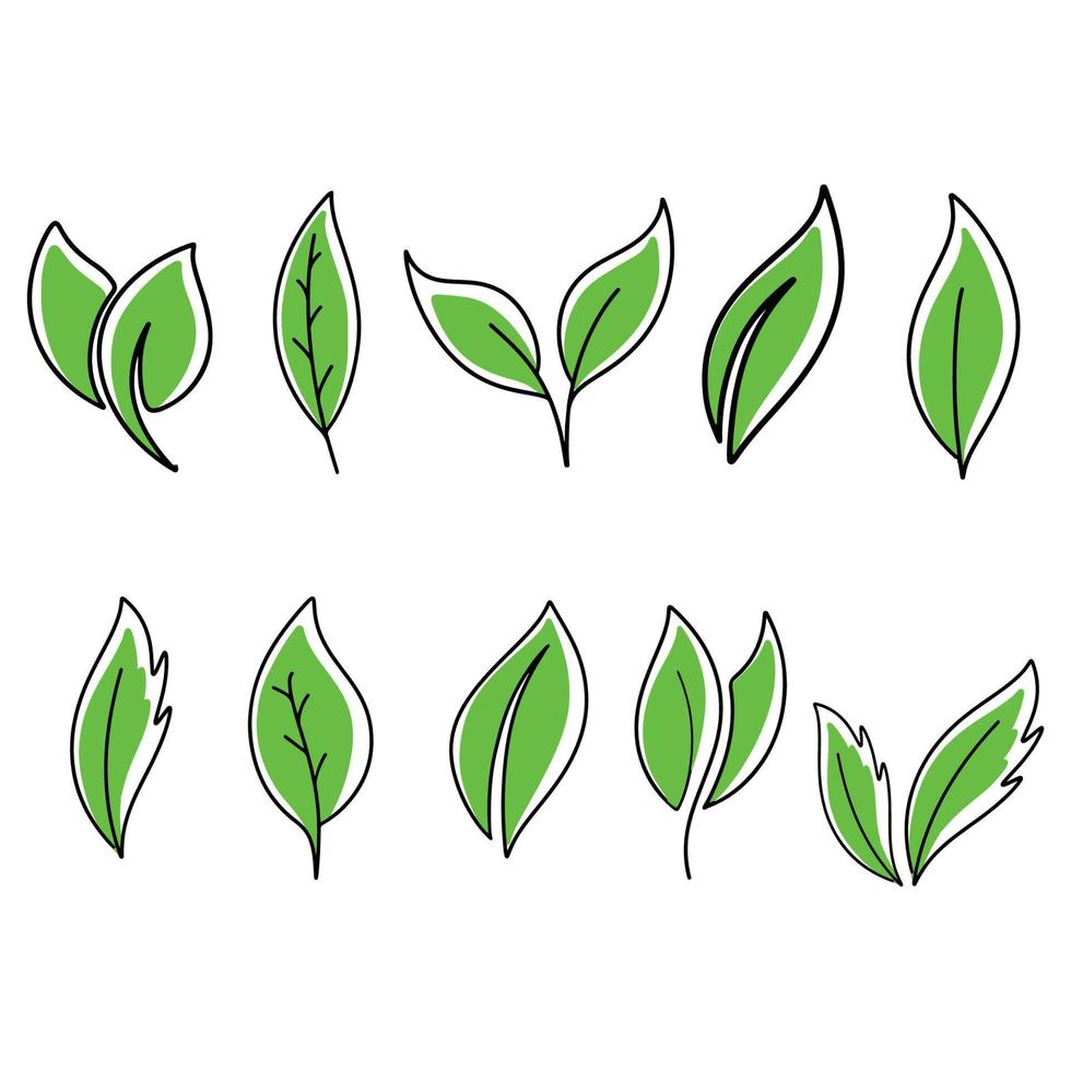 ícones de vetor de elemento de natureza de ecologia de folha