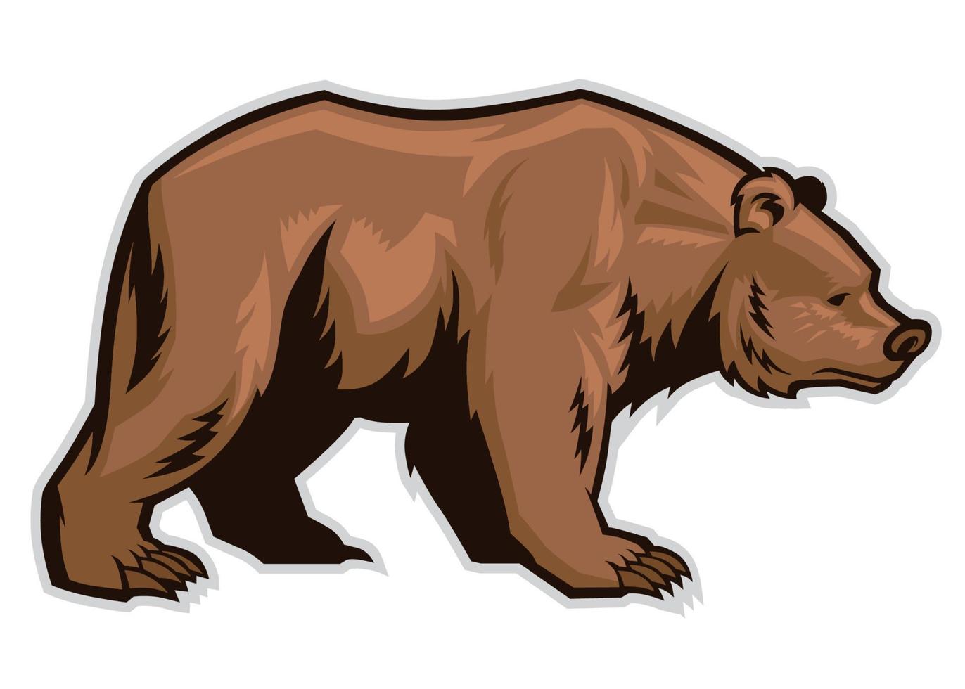 mascote urso pardo vetor