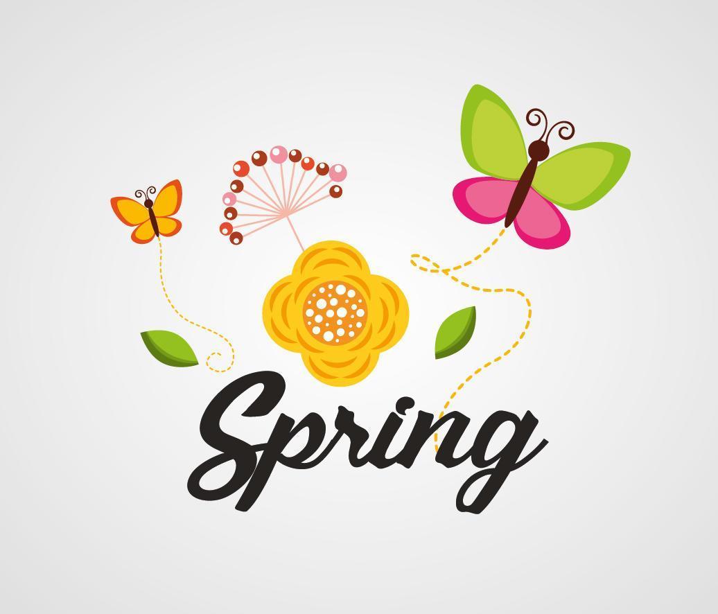Olá cartaz de primavera com flores e borboletas vetor