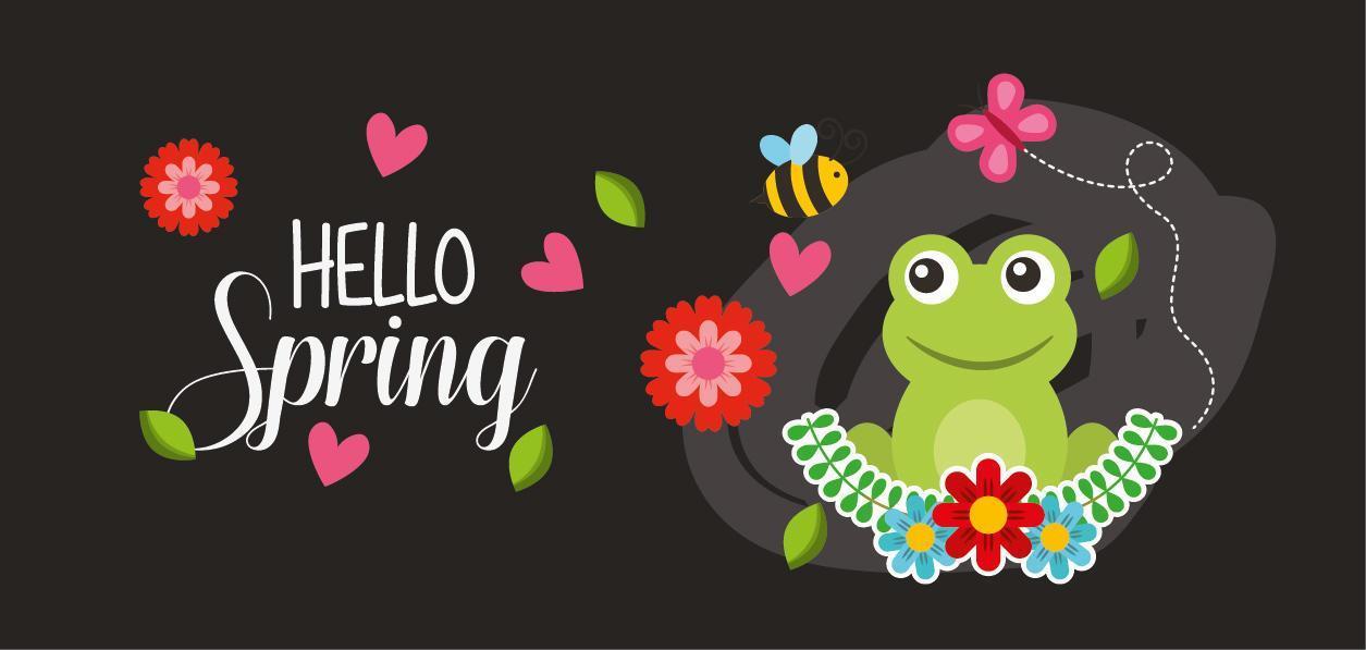 Olá cartaz de primavera com sapo e insetos voando vetor