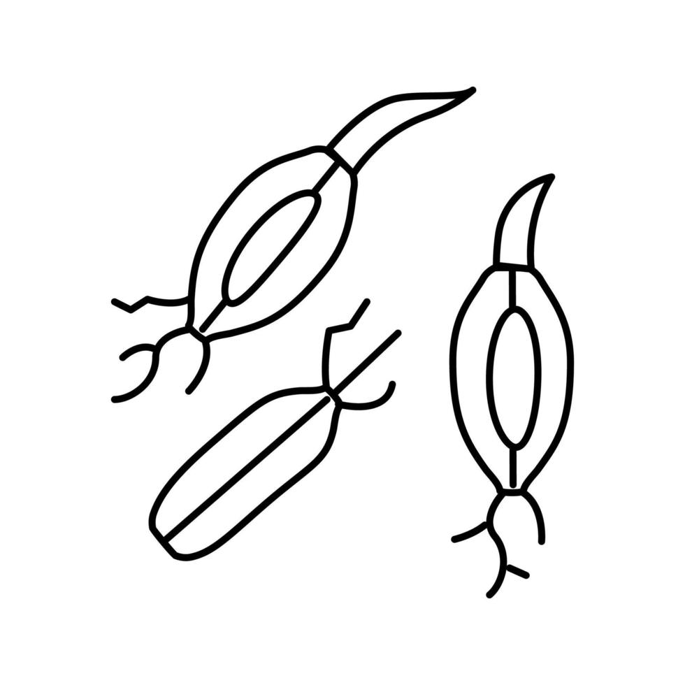 ilustração em vetor ícone de linha de malte cevada