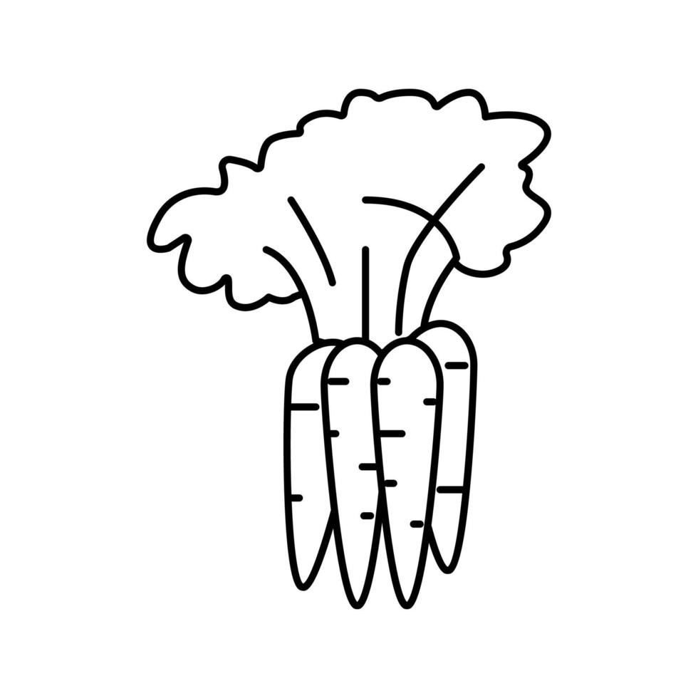 planta ilustração vetorial de ícone de linha de cenoura vetor