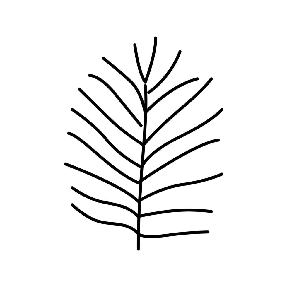 ilustração vetorial de ícone de linha de folha tropical chamaedorea vetor