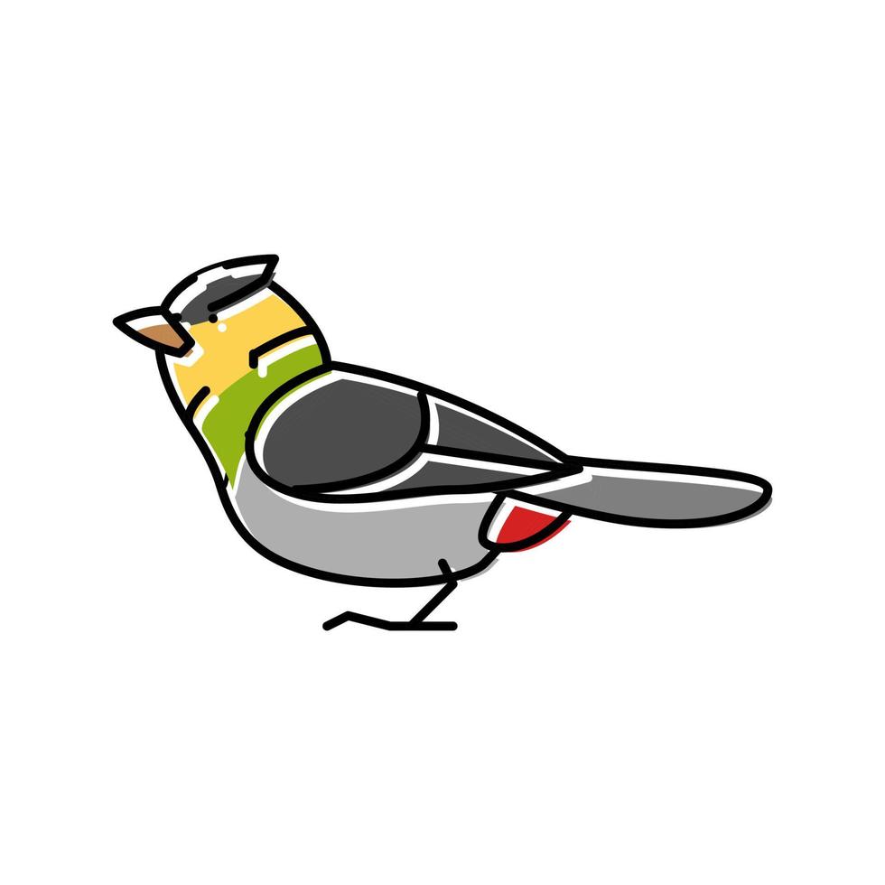 ilustração em vetor ícone de cor exótica de pássaro barbet darnauds