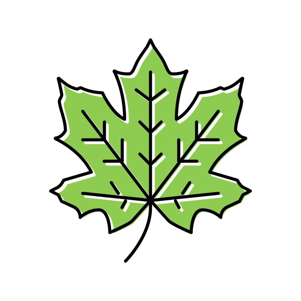 ilustração em vetor ícone de cor de folha de árvore de bordo