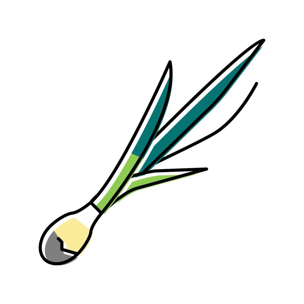 ilustração em vetor ícone de cor de cebola de frescura verde