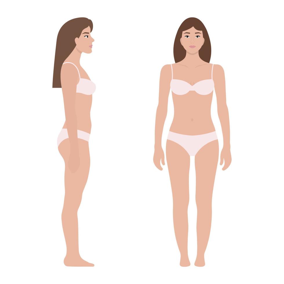 mulher em lingerie branca, vista frontal e lateral. ilustração vetorial. vetor