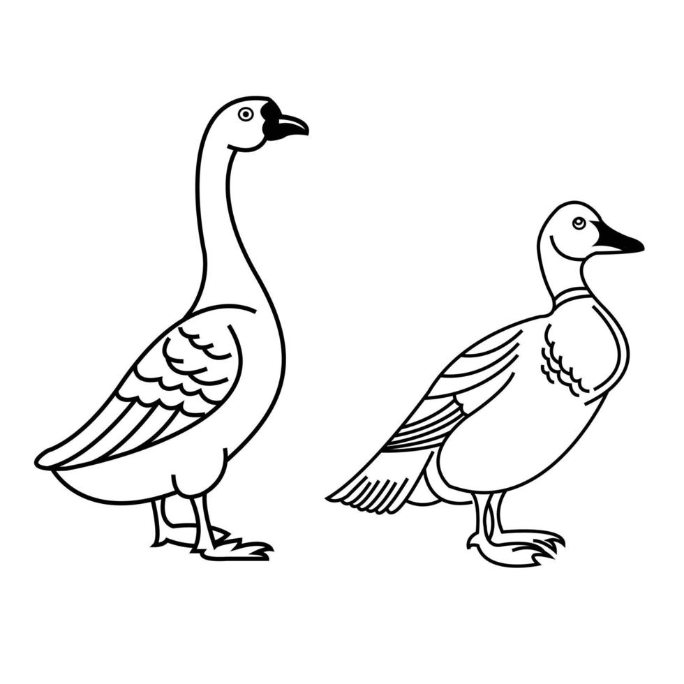 ilustração do ícone de pato isolada no símbolo de sinal de fundo branco. contorno do vetor de pato