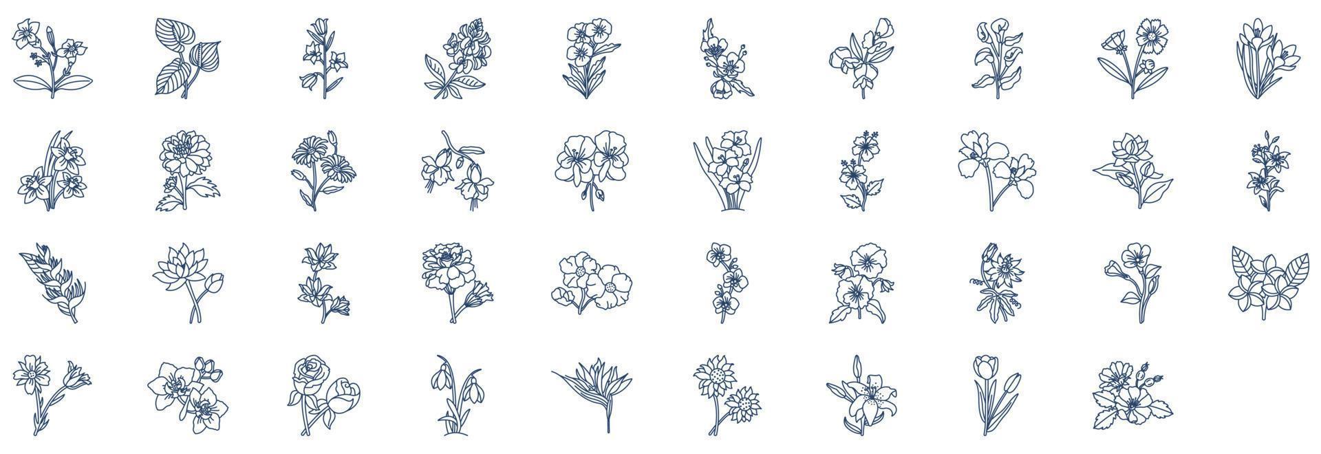 coleção de ícones relacionados a flores, incluindo ícones como fúcsia, margarida, girassol e muito mais. ilustrações vetoriais, conjunto perfeito de pixels vetor