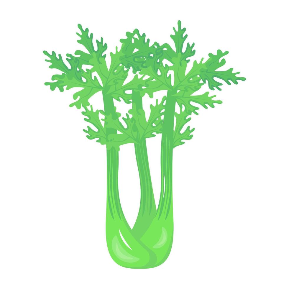 frondoso verde vegetariano, salsão plano ícone vetor
