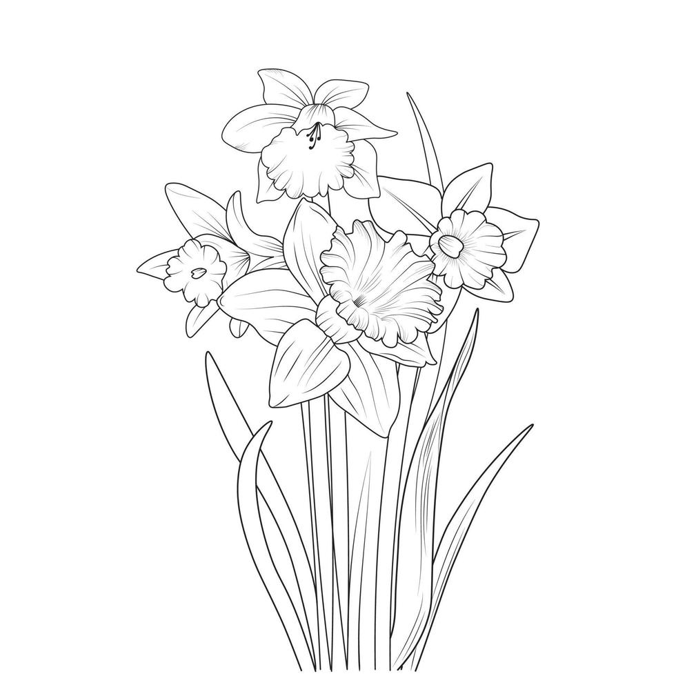 flor de narciso isolada mão desenhada ilustração de desenho vetorial, ramo de coleção botânica de brotos de folha coleção natural página para colorir buquês de flores gravado arte de tinta. vetor