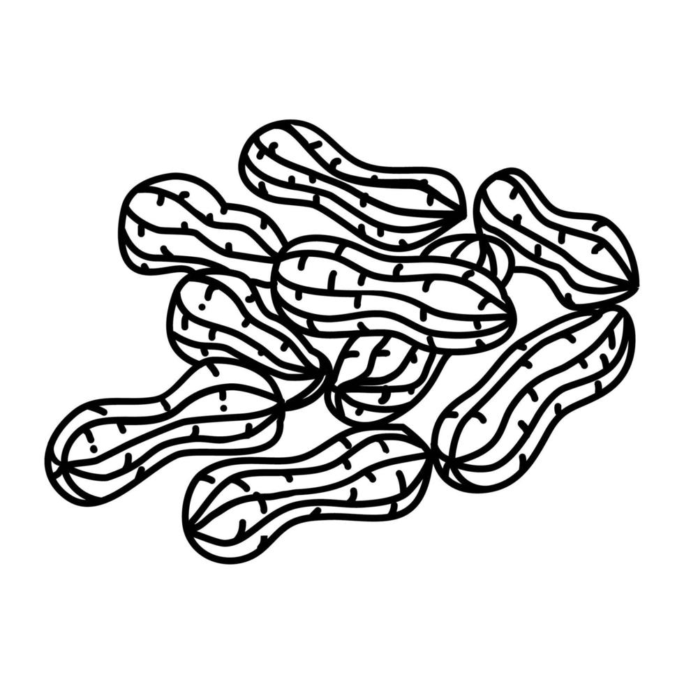 ícone de amendoim. doodle desenhado à mão ou estilo de contorno vetor