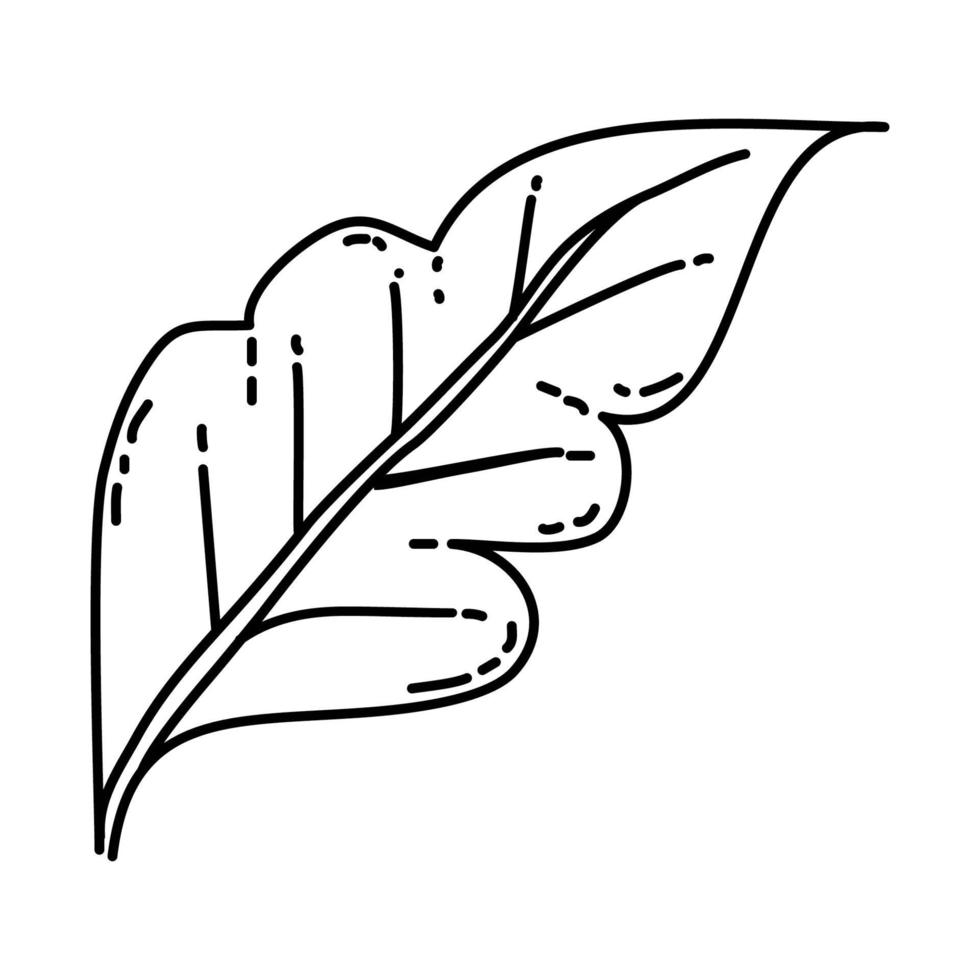 ícone da natureza. doodle desenhado à mão ou estilo de contorno vetor