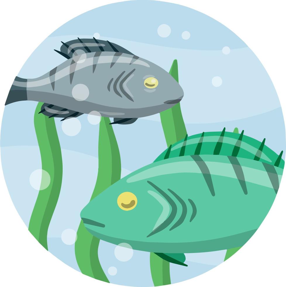 vida subaquática. água com algas. vida selvagem e aquário. elemento da pesca. ilustração plana de desenho animado vetor