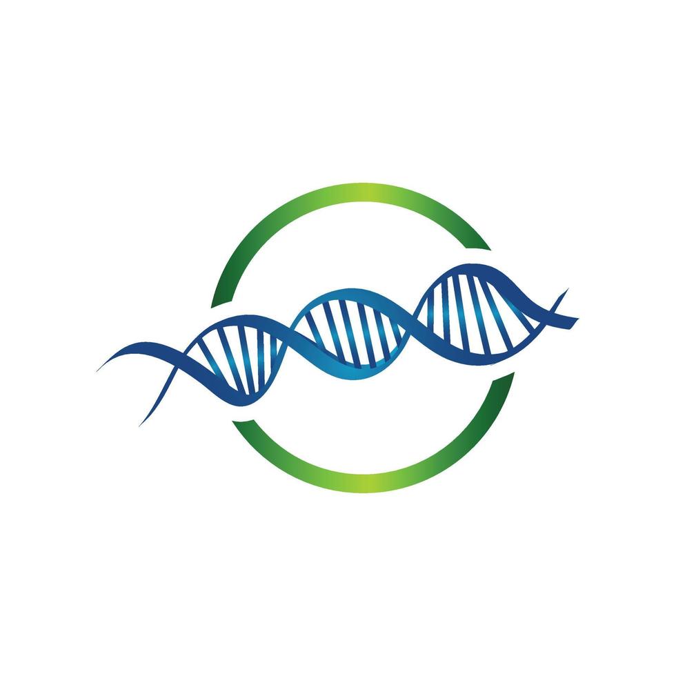 vetor ilustração do uma Duplo hélice dna vertente