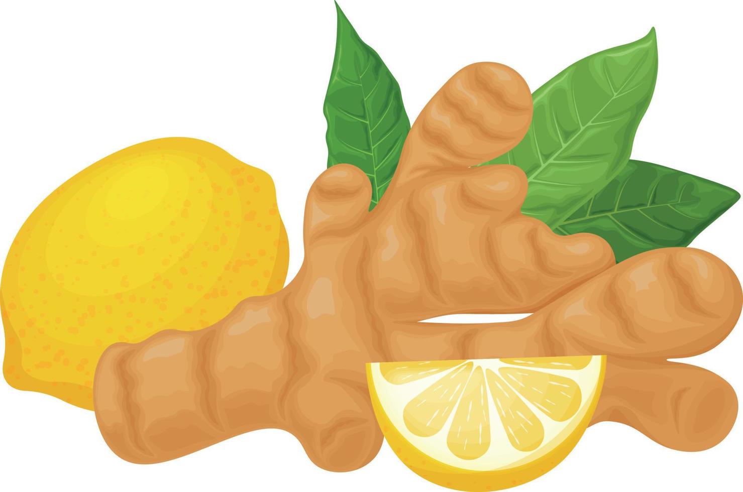 ruivo. vetor imagem do gengibre com limão e folhas. medicinal plantar dentro desenho animado estilo. isolado em uma branco fundo