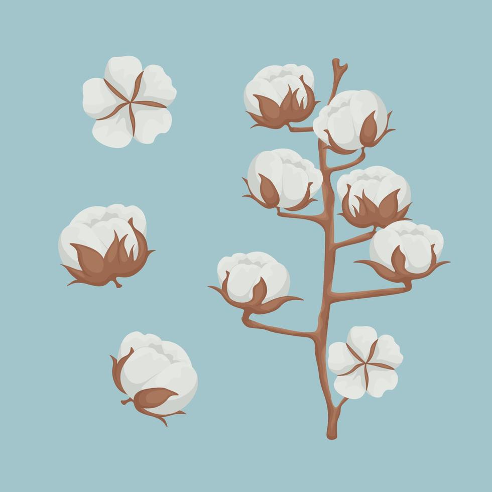 algodão. imagem do uma galho com algodão. algodão plantar. vetor ilustração