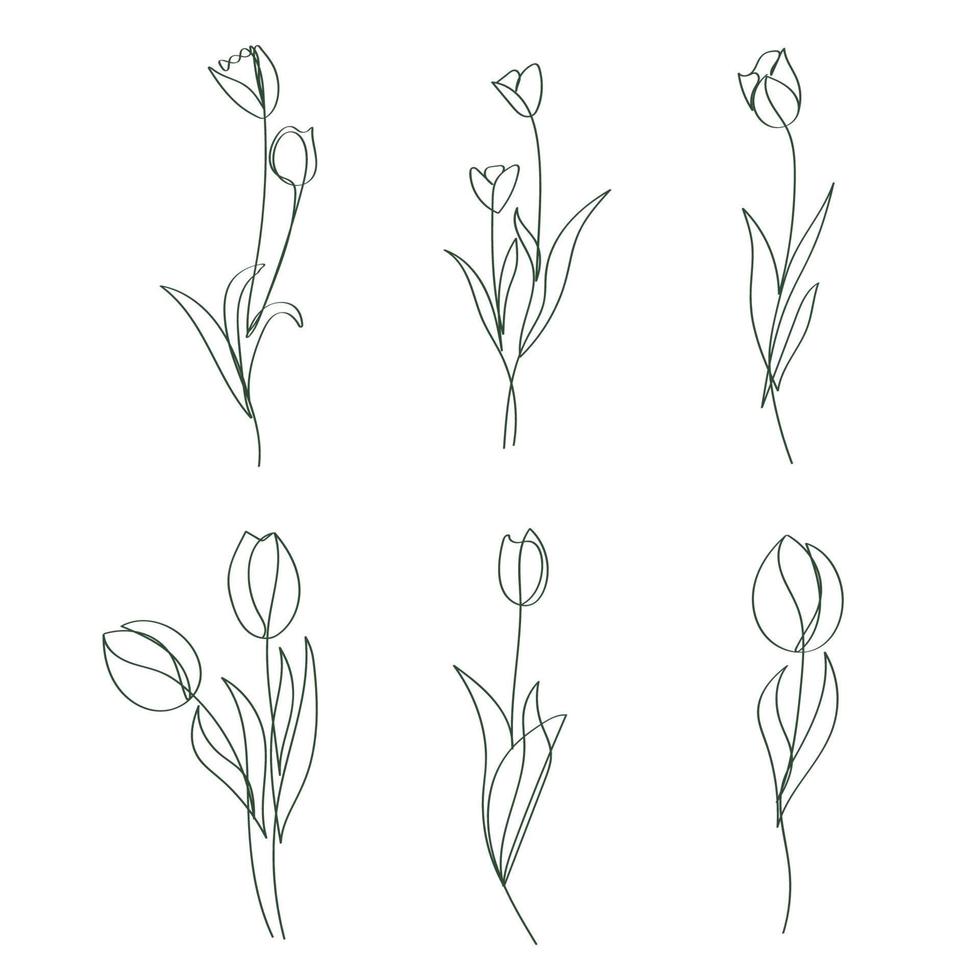 desenhado à mão tulipa flores elegante continuou linha desenhando obra de arte vetor