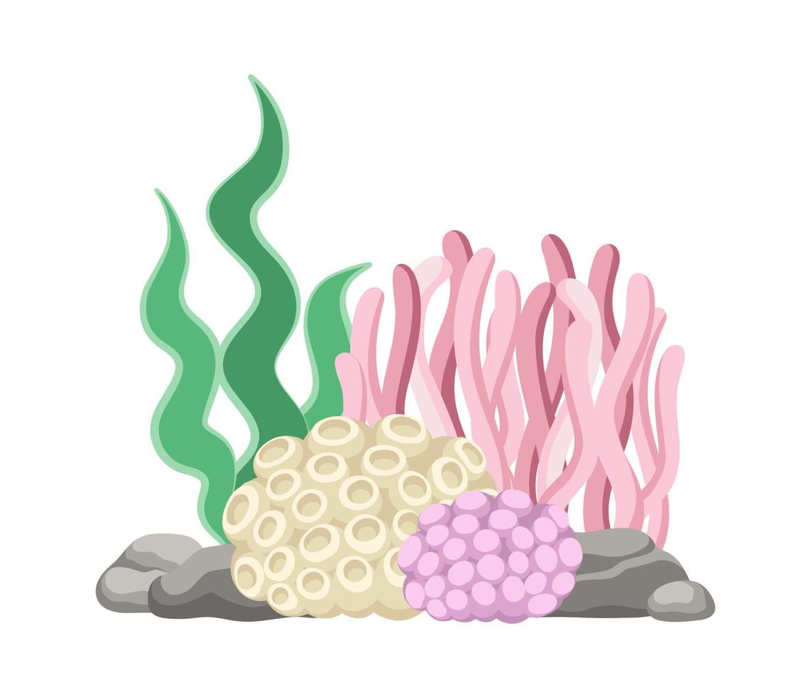 coral recifes com algas, algas marinhas e pedras vetor desenho animado ilustração