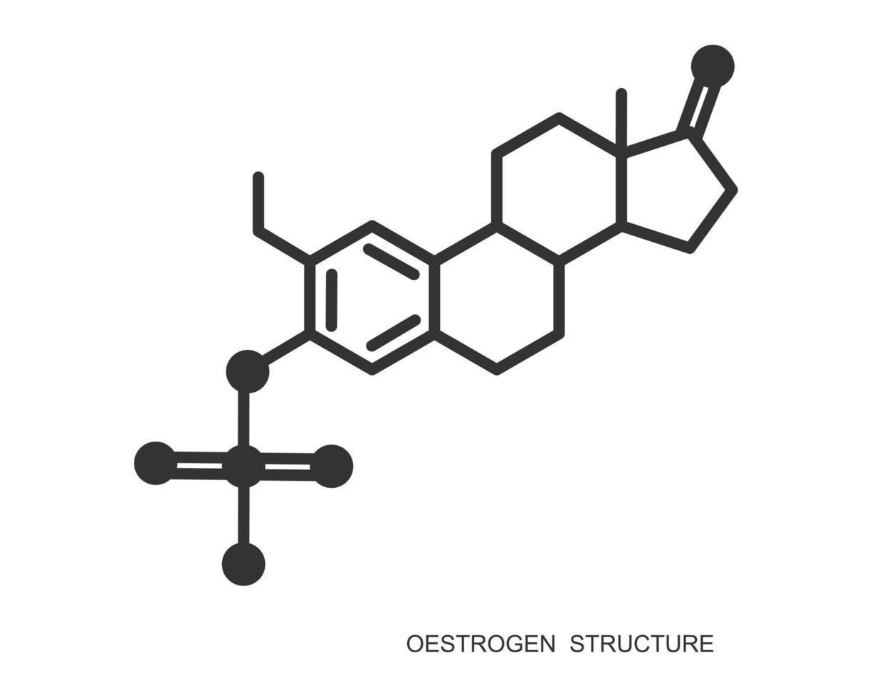 estrogênio ícone. estrogênio químico molecular estrutura. fêmea esteroide sexo hormônio placa vetor