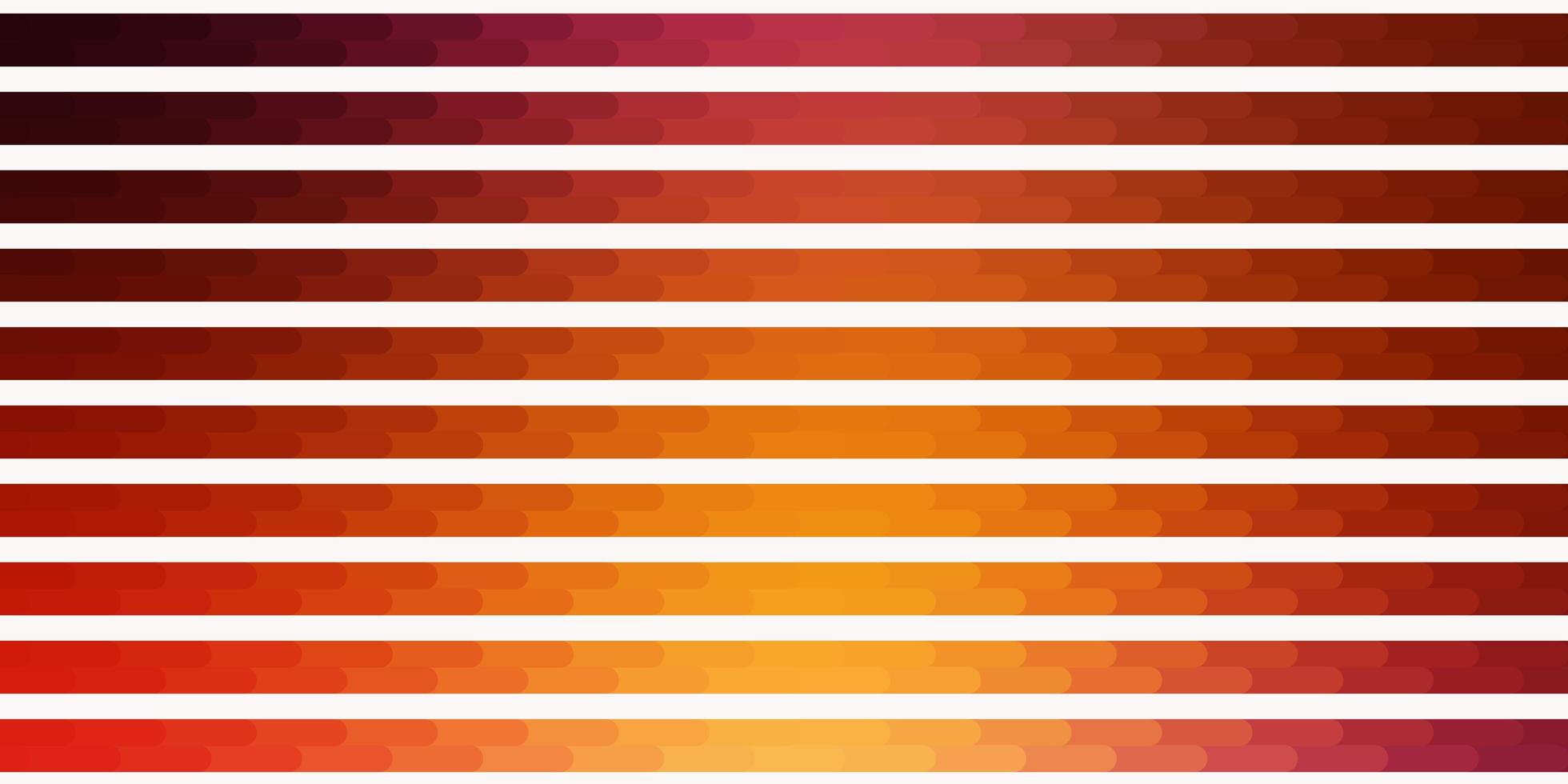 layout de vetor multicolor de luz com linhas.