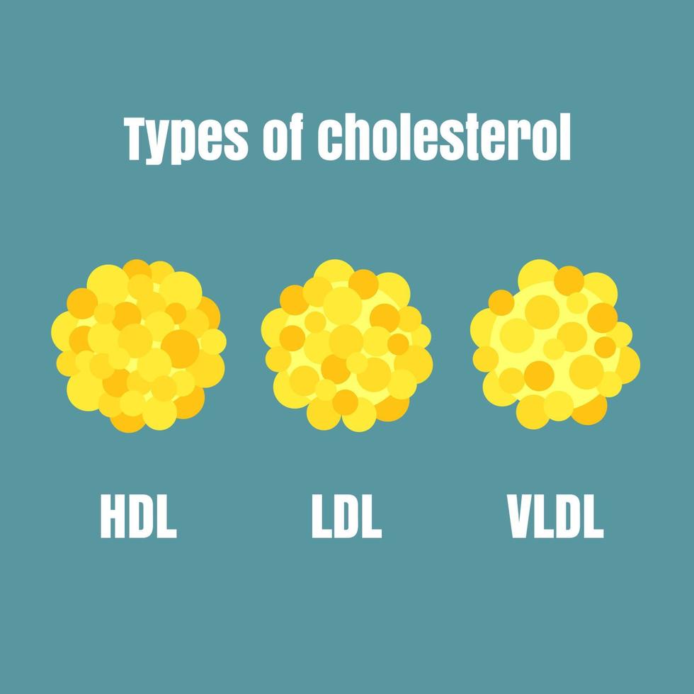 tipos do colesterol vetor para usar para Educação