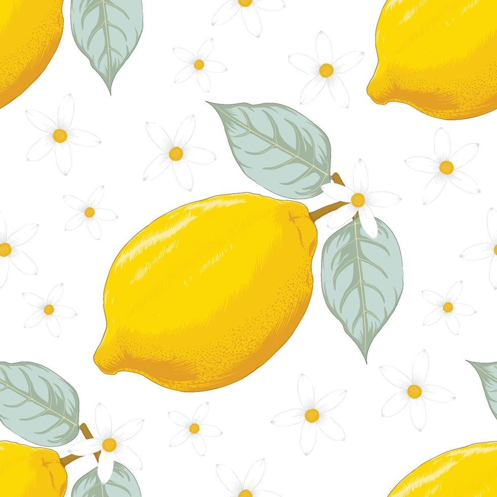 verão tropical sem costura padrão com frutas de limão e flores sobre fundo branco isolado. ilustração vetorial arte de linha de desenho de mão. para design de tecido. vetor