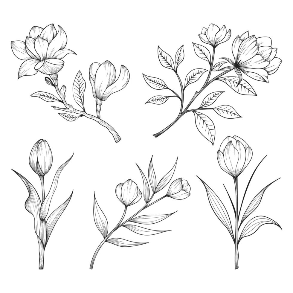 mão desenhada selvagem e ervas flores e folhas ilustração isolada no fundo branco. vetor