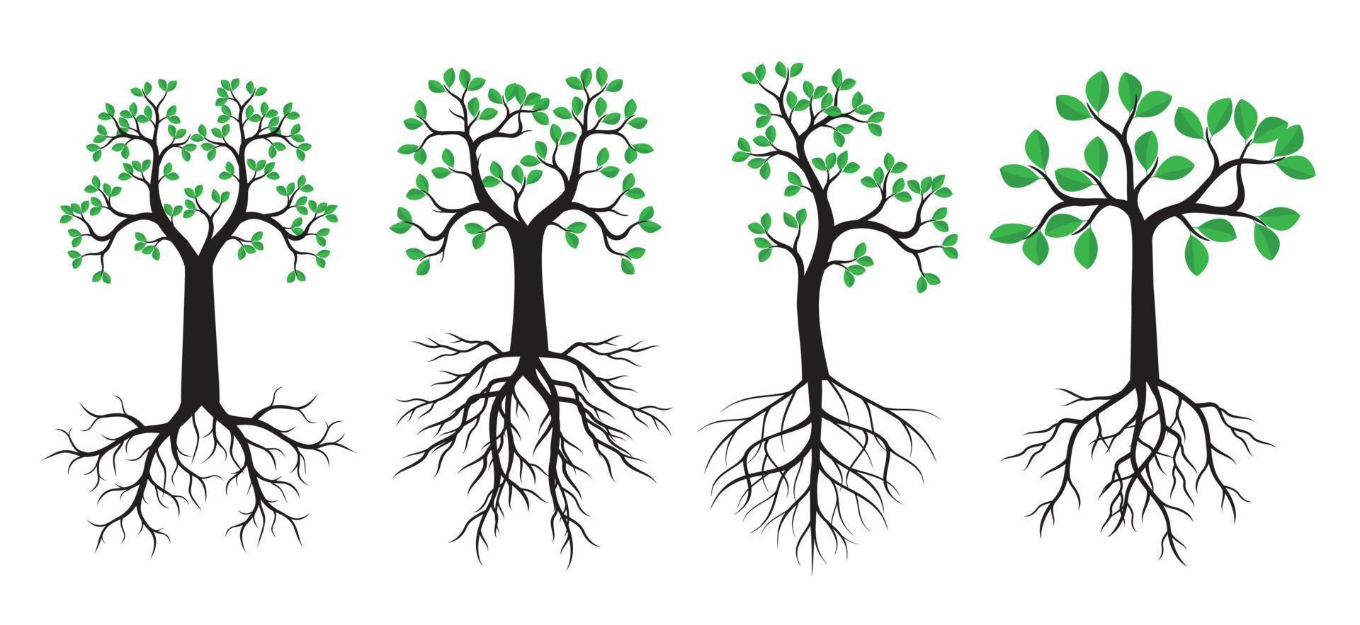 definir árvores verdes. ilustração vetorial. vetor
