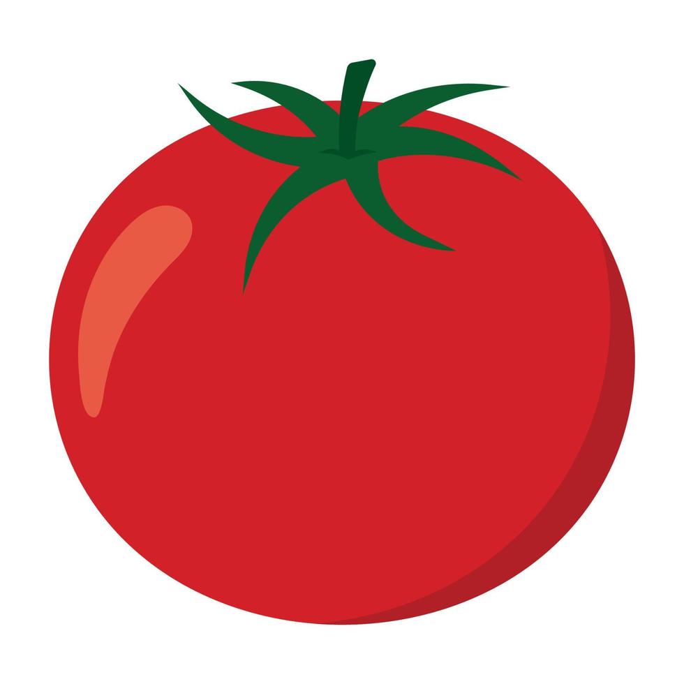 tomate ícone clipart vegetal vetor ilustração