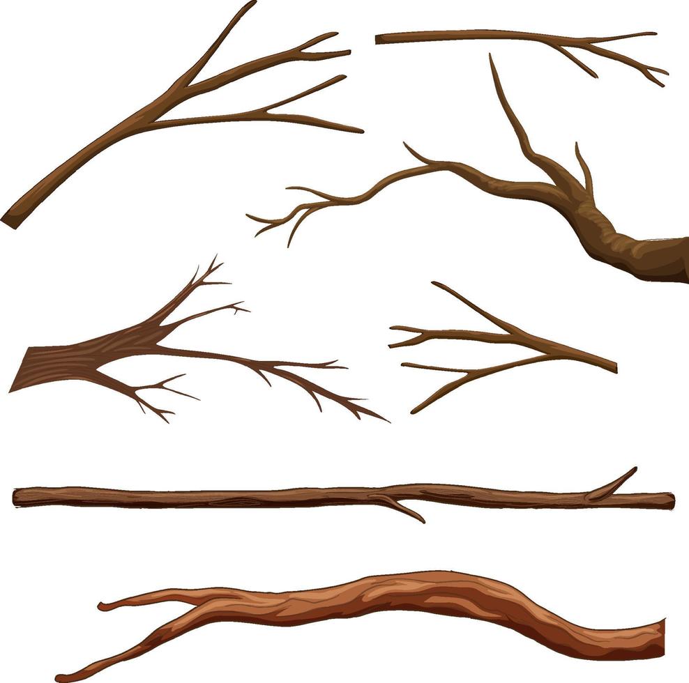 conjunto de diferentes galhos de árvores isolados vetor