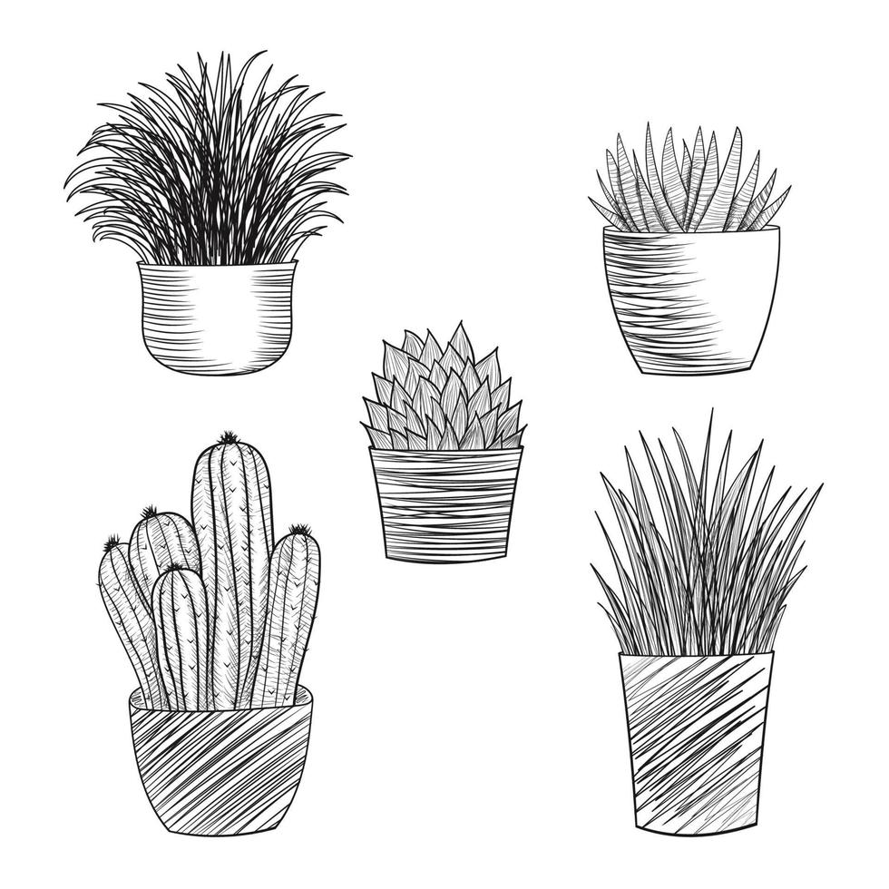 conjunto de esboço de plantas desenhadas à mão vetor