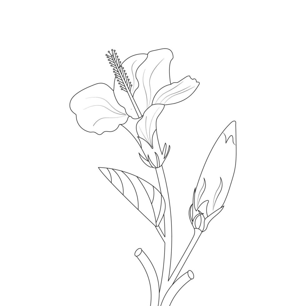 hibisco flor coloração página e livro ilustração linha arte vetor