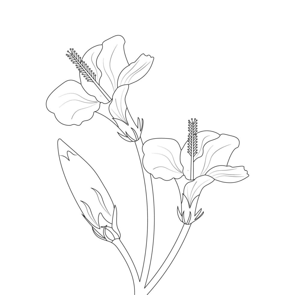 hibisco flor coloração página e livro ilustração linha arte vetor