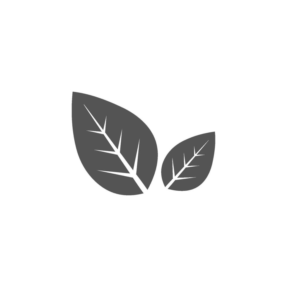 vetor de ícone de folha. símbolo da planta no moderno estilo plano isolado no fundo branco.