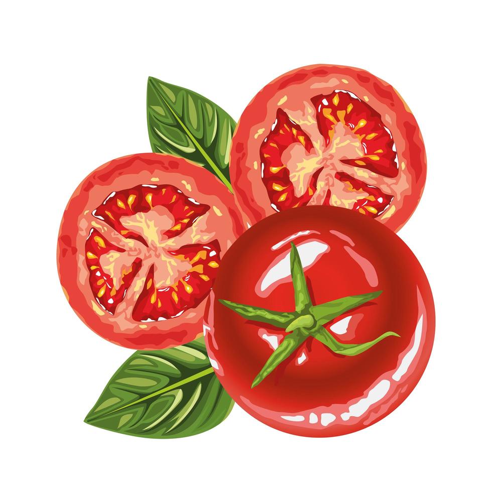 ícones de tomates frescos e saudáveis vetor