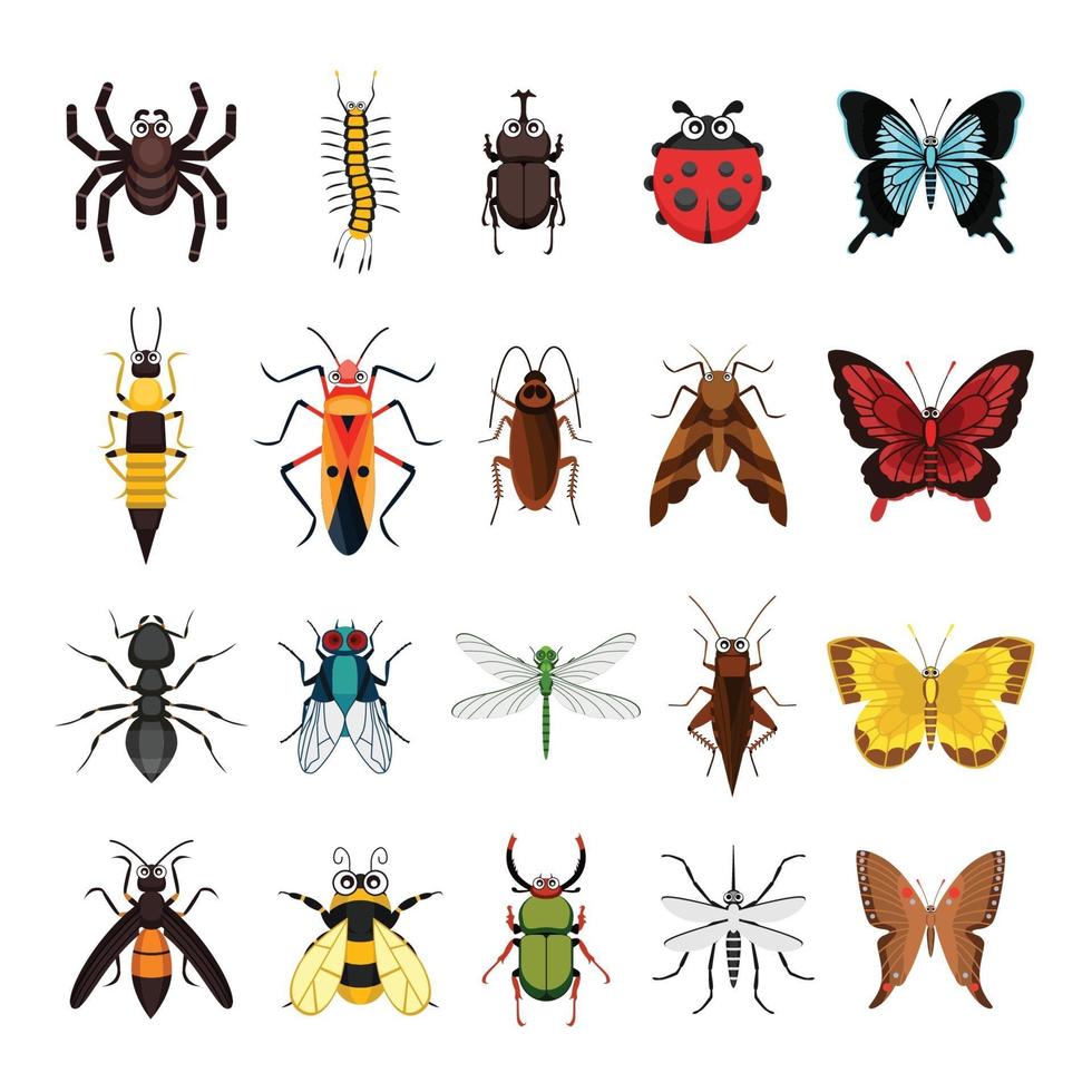 conjunto de ilustração vetorial coleção animal insetos isolado no fundo branco vetor