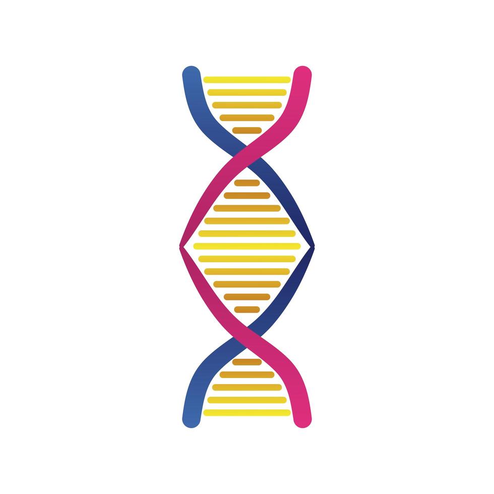 ícone de estrutura isolada de molécula de DNA vetor
