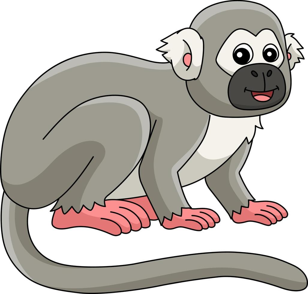 esquilo macaco animal desenho animado colori clipart vetor