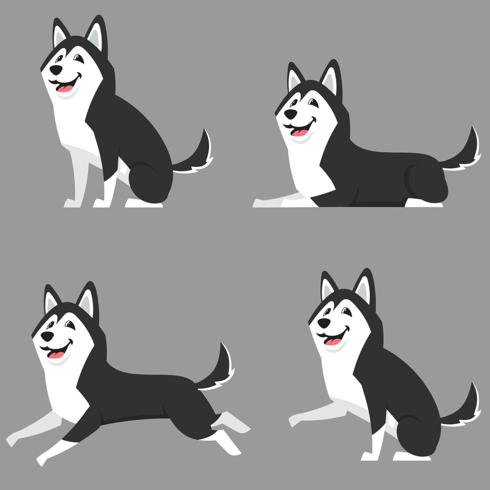 husky siberiano em diferentes poses. vetor