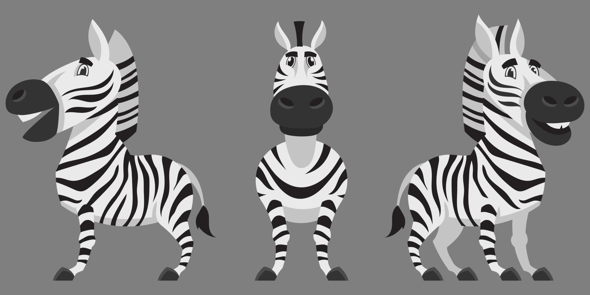 zebra em diferentes poses. vetor