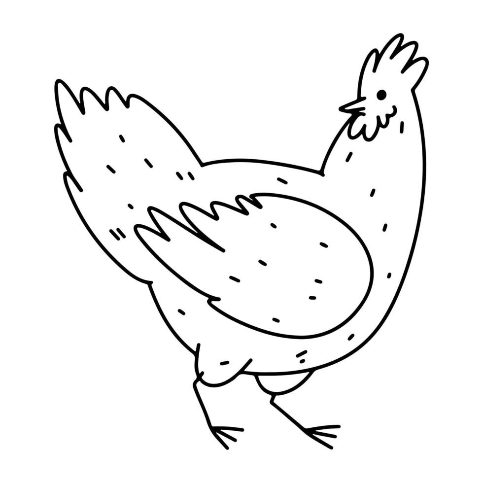 galinha dentro mão desenhado rabisco estilo. vetor ilustração isolado em branco fundo. coloração página.