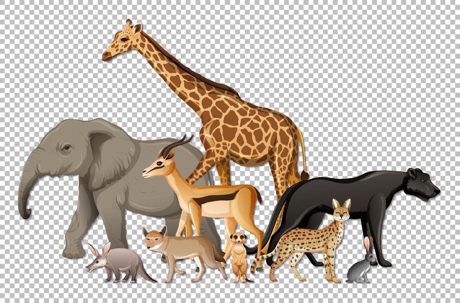 grupo de animais selvagens africanos vetor