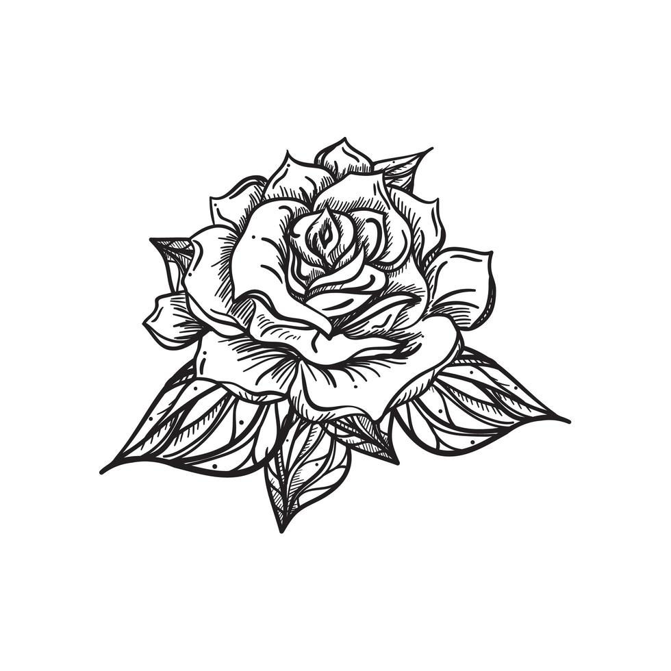 rosa de casamento desenhada à mão vetor