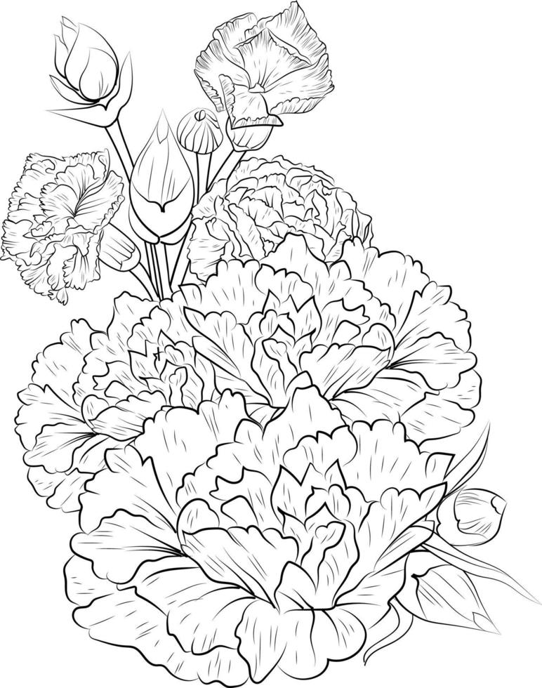 cravo flor vetor ilustração do uma lindo flor ramalhete, uma desenhado à mão coloração livro do artístico, Flor flores cravos gravado tinta arte tatuagem Projeto.