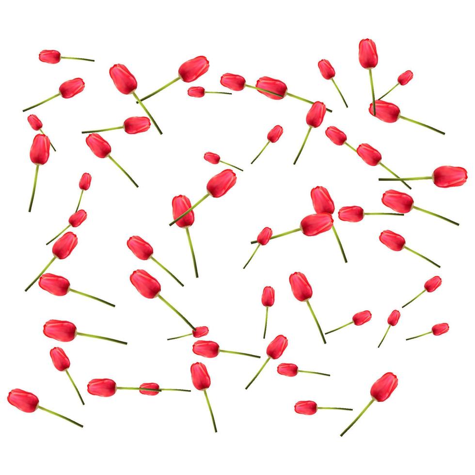 padronizar do muitos vermelho tulipas em uma branco fundo. a conceito do a chegada do primavera, Páscoa. universal feriado fundo. vetor imagem